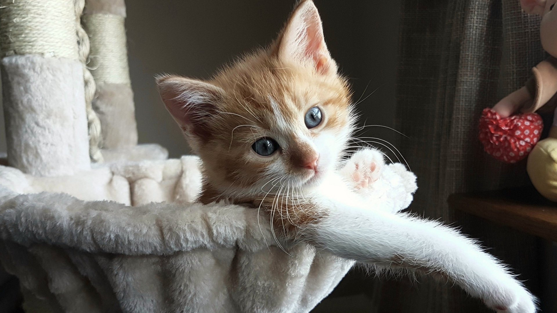 常用汽车材料是什么材质(汽车的材质是什么材质做的)